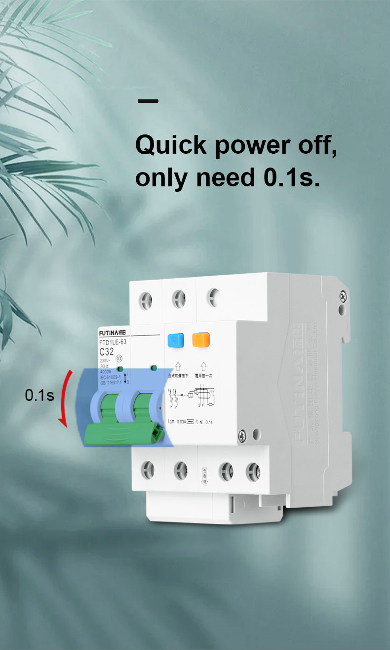 2 Pole Circuit Breaker